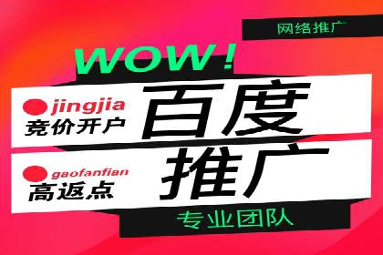竞价广告赚钱秘籍：百度实战案例
